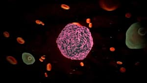 Revine febra tifoidă? O tulpină rezistentă a ceea ce se credea a fi ‘boala vremurilor de demult’ se răspândește din nou pe glob. Cercetătorii au lansat deja avertismente