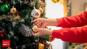 Preferințele românilor pentru bradul de Crăciun. La ce se uită atunci când pleacă la cumpărături