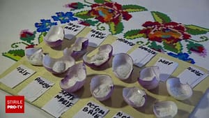 Previziuni pentru 2026. Ce arată „calendarul foilor de ceapă”, folosit de gospodine ca să estimeze cum va fi noul an