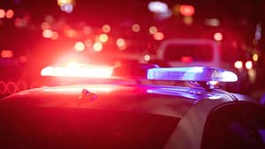 Situație incredibilă în Belgia, descrisă de europarlamentarul Georgiana Teodorescu: Dacă îți fură un hoț ceva, te programezi online la poliție