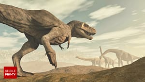 Un cuib de dinozaur, cu ouă vechi de 150 de milioane de ani, a fost descoperit în Portugalia