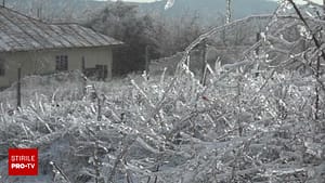 Întreruperi de energie electrică în opt localități din Harghita, posibil din cauza vremii. 1.500 de consumatori, afectați