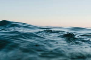 Descoperire în adâncurile Oceanului Pacific: O „oază vibrantă“ de animale devoratoare de substanțe chimice