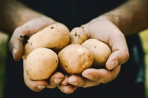 A fost descoperită originea cartofilor moderni