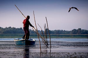 Un „colț de paradis” în agonie: Un mare ziar european scrie despre problemele din Delta Dunării despre care în România nu se vorbește aproape deloc