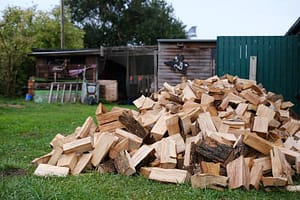 Anunțul Romsilva: Populația poate cumpăra online lemne de foc de la noi / Prețurile pentru un metru cub