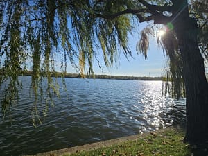 Început de noiembrie cu „parfum” de vară. Locurile din România unde au fost cu 12 grade Celsius peste normal