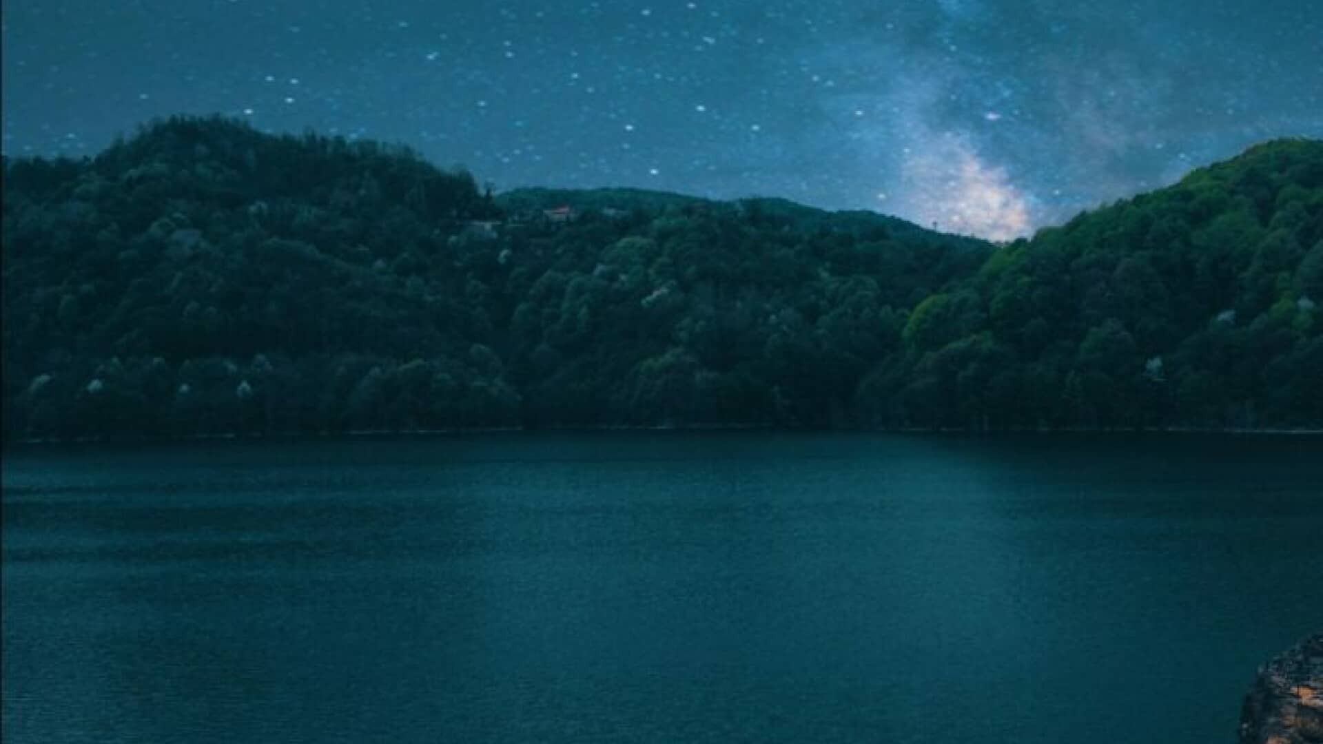 spot