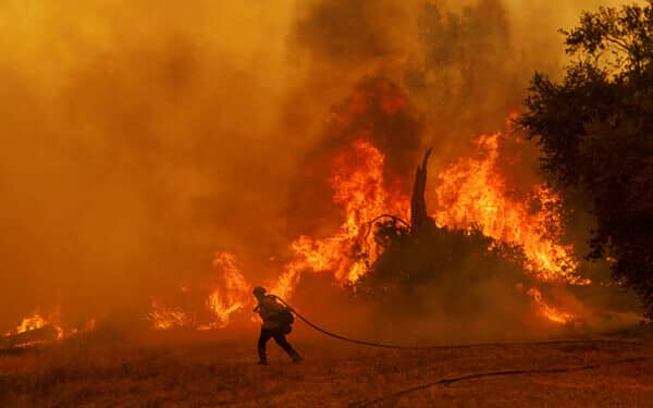 incendiu sua