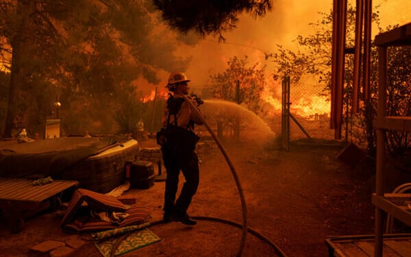 incendiu sua