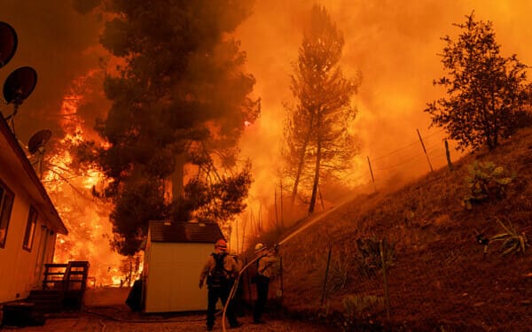 incendiu sua