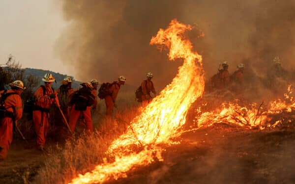 incendiu sua