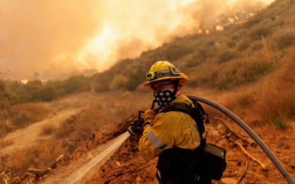 incendiu sua