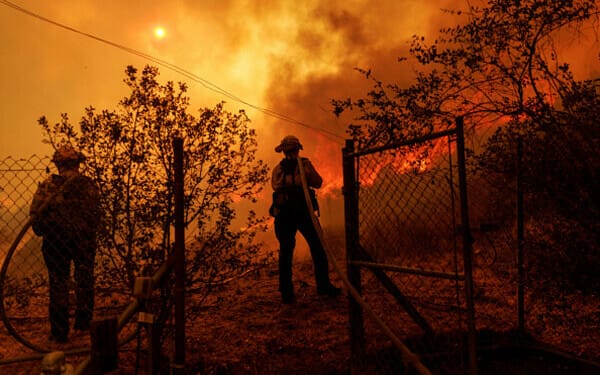 incendiu sua