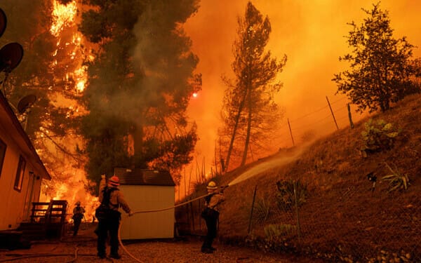 incendiu sua