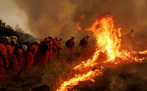 incendiu sua