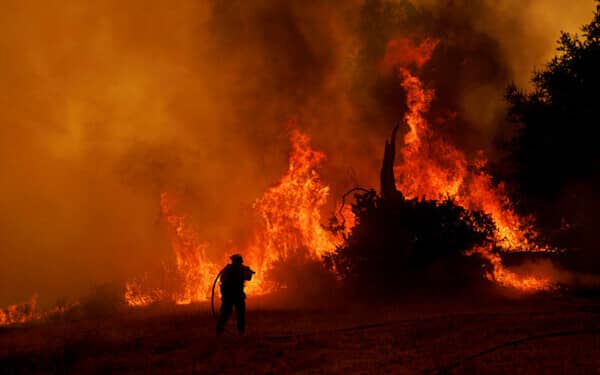 incendiu sua