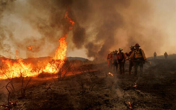 incendiu sua