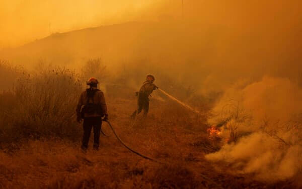 incendiu sua