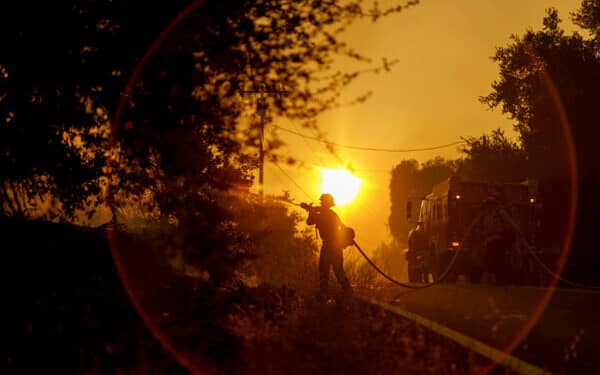incendiu sua