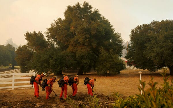 incendiu sua
