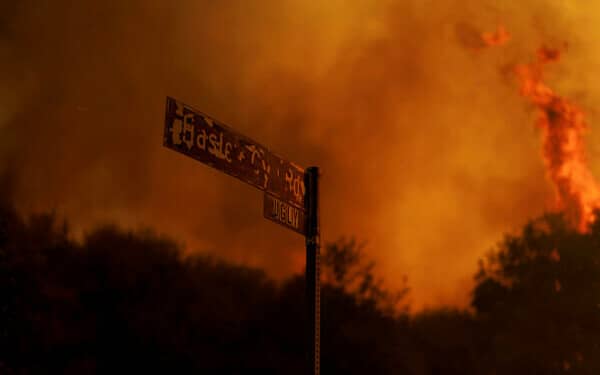 incendiu sua