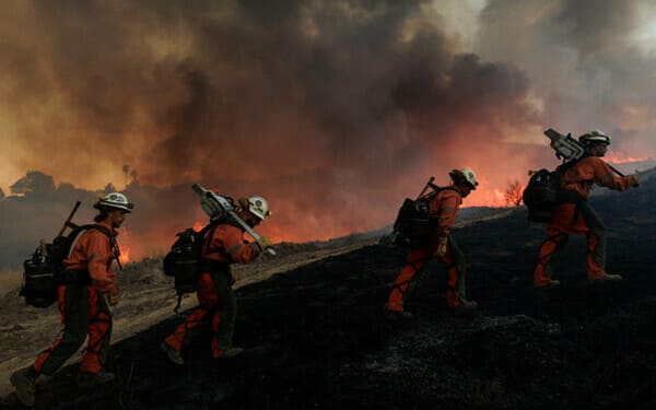 incendiu sua