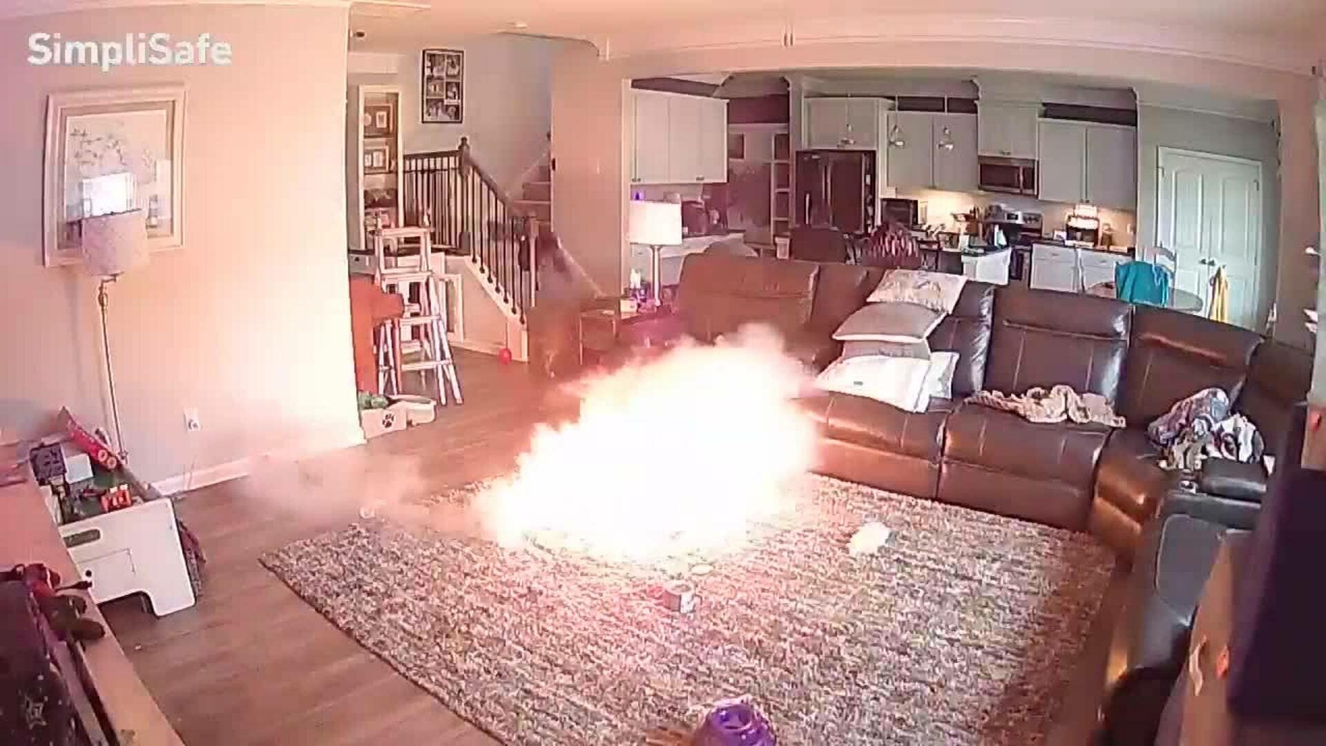 Câine explozie sufragerie