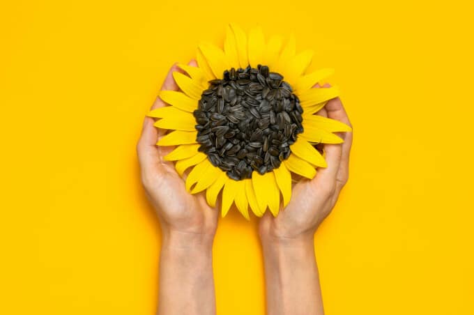 ulei de floarea soarelui