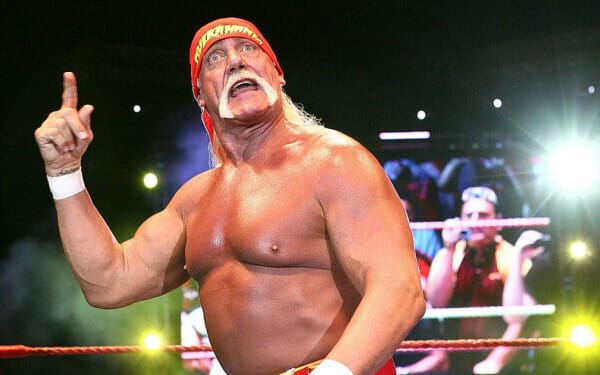 hulk hogan